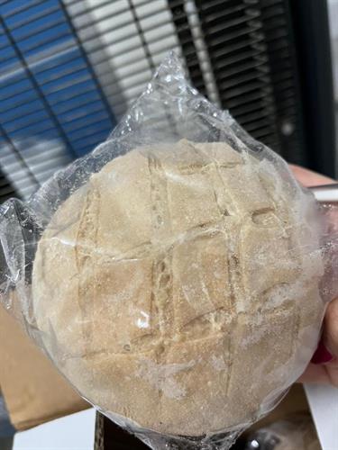 PANINO TARTARUGA 100GR - S.G S.L(12PZ)