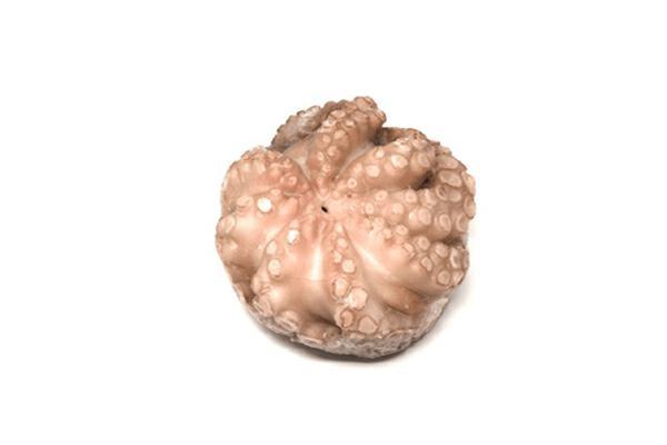 POLPO SENEGAL T1 AL KG