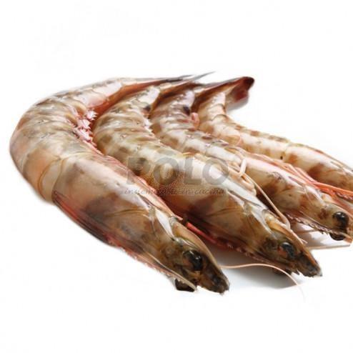 MAZZANCOLLA TROP CON GUSCIO 40/50 800GRX10