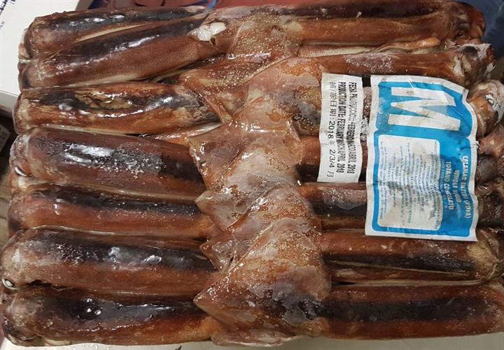 TOTANO BLOCCO ARGENTINA M AL KG. (CP)