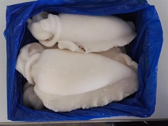 SEPPIA PULITA U/1 INDIA KG. 10 PL - WFC