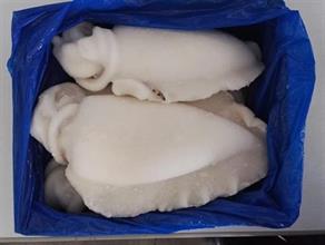 SEPPIA PULITA U/1 INDIA KG. 10 PL - WFC