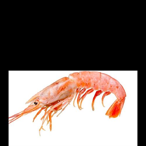 GAMBERO ROSA MOZAMBICO M41/60 800GR (CT 12CF)