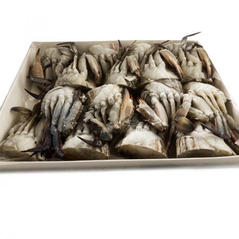 GRANCHIO TUNISIA 12/16 1.5X6