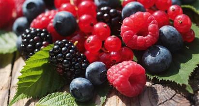 FRUTTI DI BOSCO 1KG (6)