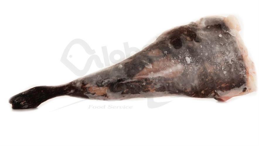 RANA PESCATRICE OCEANICA S.A. 250/500 C/P(KG.10) -PP