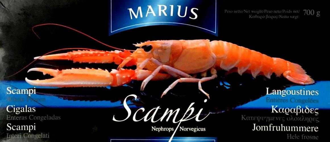 SCAMPI 8/10 1.5X4