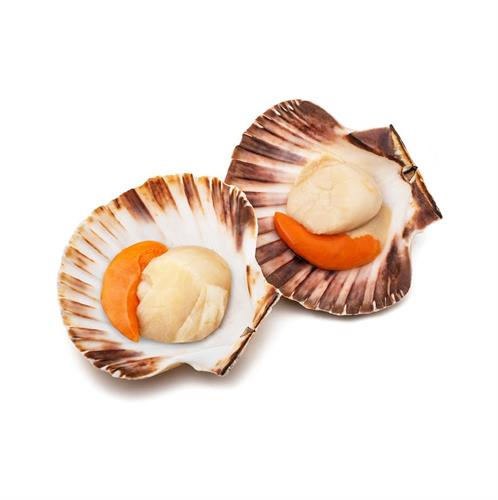 CAPPESANTE CRUDE M/G 10/20 GR.750X10