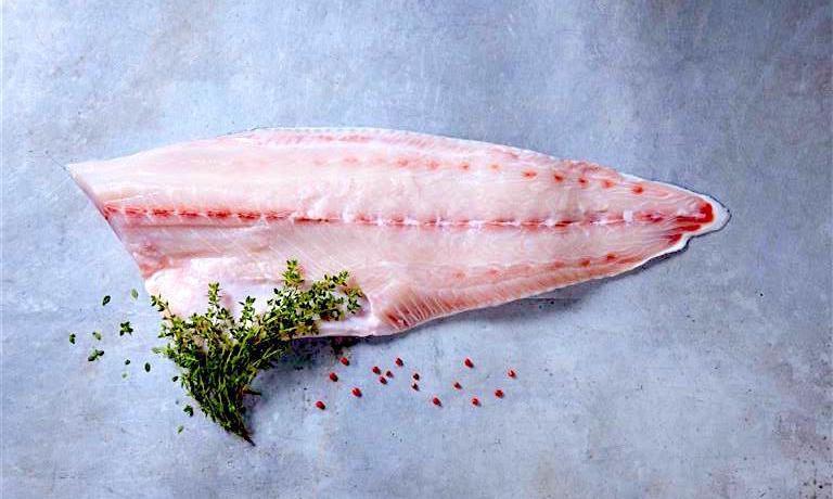 FILETTO DI RICCIOLA IWP GIAPPONE 1500/2200 AL KG.