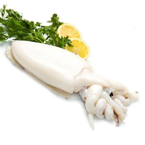 SEPPIA PULITA 1KG/UP AL KG FAO 34 - BRS