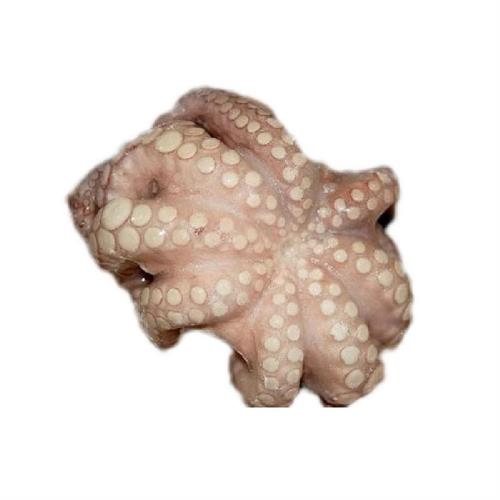 POLPO MAROCCO T5 IQF TOT. KG.12 -CP
