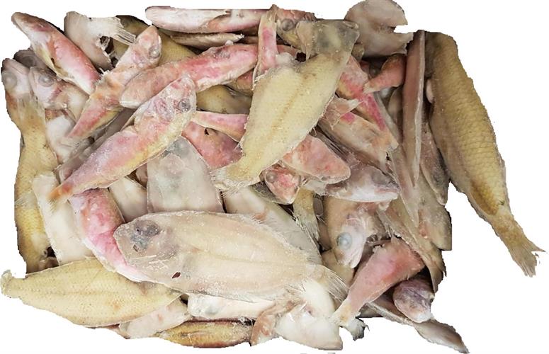 FRITTURA DI PARANZA 3KG
