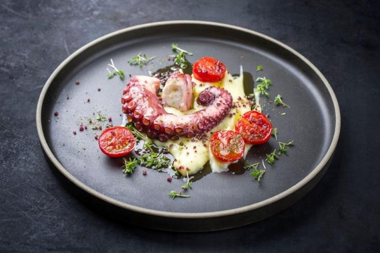 TENTACOLI DI POLPO COTTO AL KG. (CT. DA KG.4) - IG