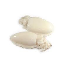 SEPPIA PULITA 8/12 10X800 PN BR