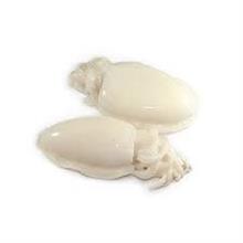 SEPPIA PULITA 8/12 10X800 PN BR