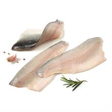 FILETTO DI BRANZINO 120/160 PESO LORDO KG.5