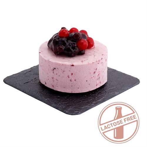 MONO SENZA GLUTINE-LATTOSIO FRUTTI BOSCO 85GR X 9PZ - DT