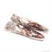 CALAMARO INTERO MAROCCO P 21/26 CM. 4 CF. DA KG.5 - TOTALE 20 KG.