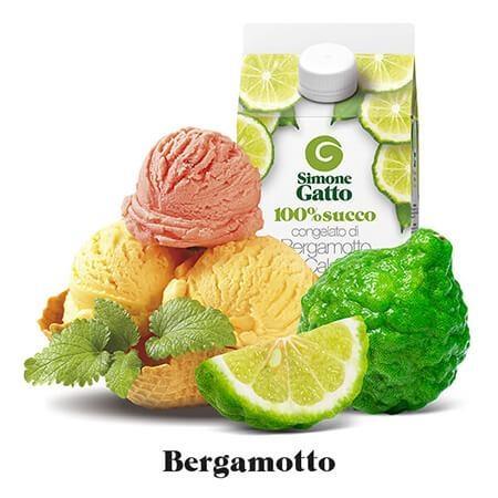 SUCCO DI BERGAMOTTO GR.500X24 (TOT. KG.12)