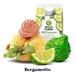 SUCCO DI BERGAMOTTO GR.500X24 (TOT. KG.12)