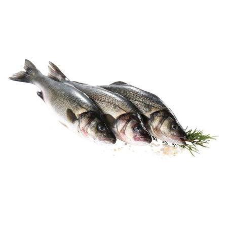 FILETTO DI SPIGOLA/BRANZINO C/P 100/160GR (5) SFUSO
