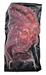 POLPO COTTO INTERO 800/1100 AL KG (6KG CIRCA) - BRASMAR